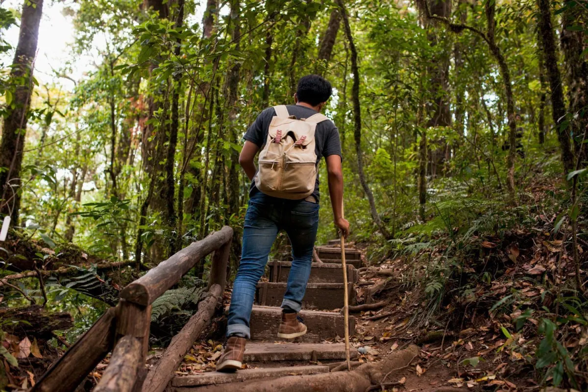 Quais os cuidados com a natureza ao fazer acampamento e trilhas?